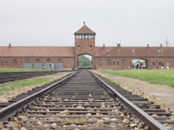 Nvtva muzea Auschwitz-Birkenau (Osvtim) v Polsku